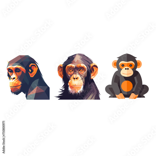 portrait simpanse monkey animal set