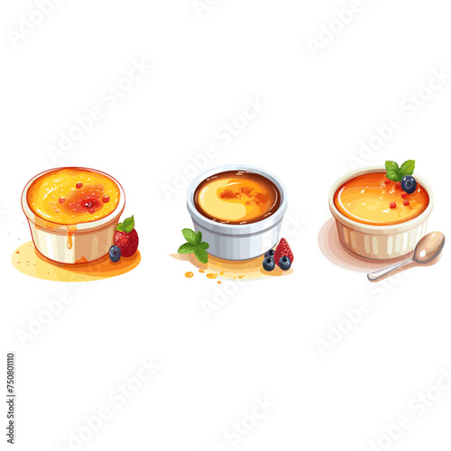 Sweet creme brulee from french cuisine in special dish food