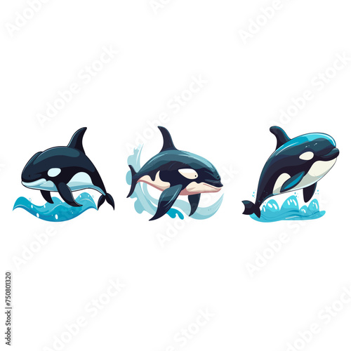 orca whale dolphin species fish mammals set vector