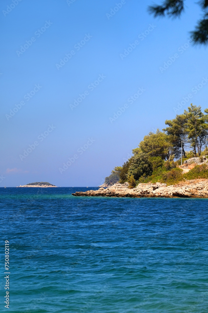 Fototapeta premium Lush plants on the small island in the Adriatic sea. 