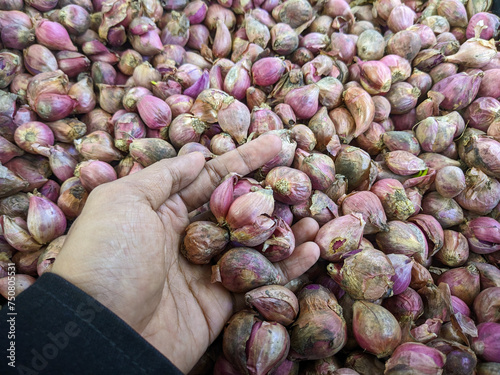 Fresh red onions at the minimarket. A pile of red onions is one of the spices in cooking