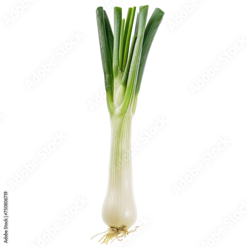 Photo of leek isolated on transparent background