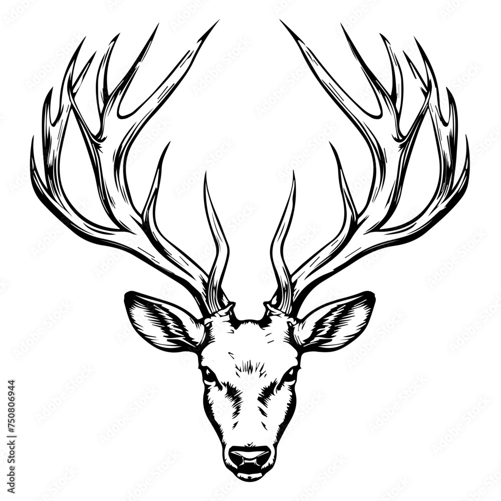 Black and White Illustration Vector of Majestic Deer Black and White Illustration Vector of Majestic Deer