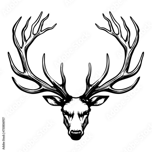 Black and White Illustration Vector of Majestic Deer