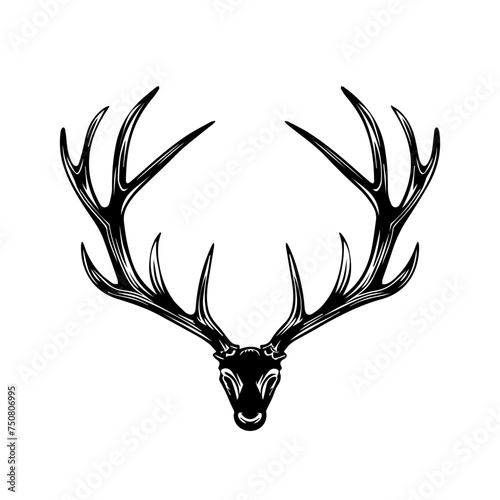 Black and White Illustration Vector of Majestic Deer © Mateusz