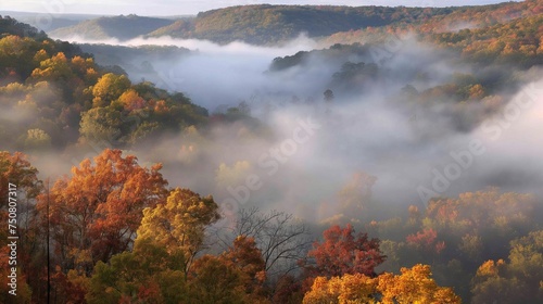 A bird s-eye view of a valley covered in mist  with trees in their autumn colors emerging through the fog  creating a dreamlike atmosphere.