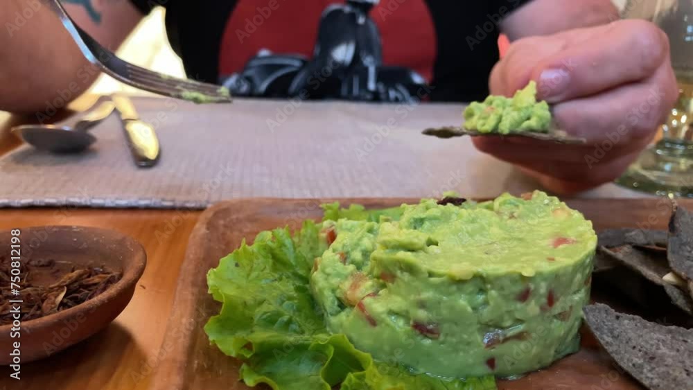 traditional mexican chiapas food guacamole with grasshopper and tortilla traditional mexican chiapas food guacamole with grasshopper and tortilla