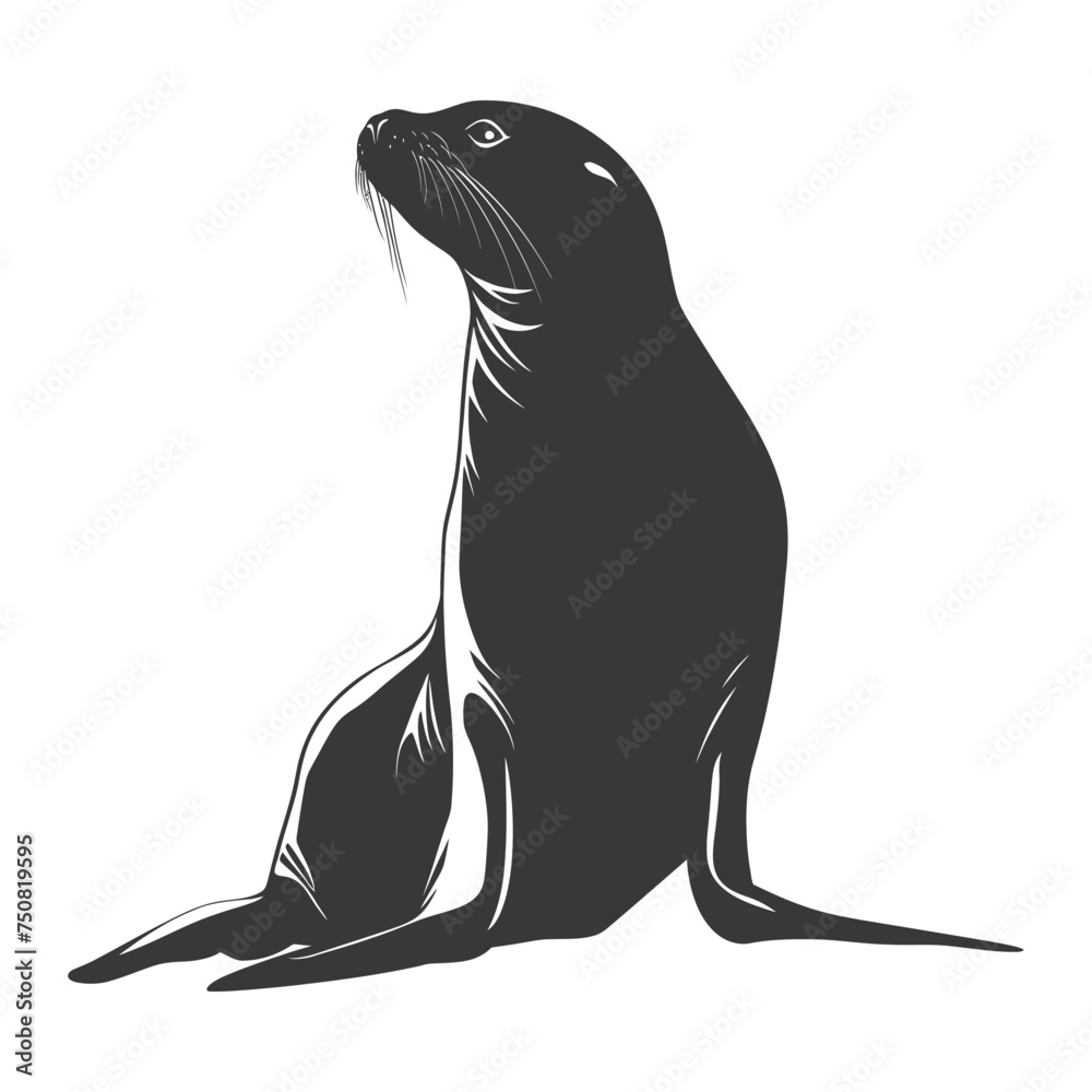 Silhouette Sea Lion Animal black color only full body Silhouette Sea Lion Animal black color only full body