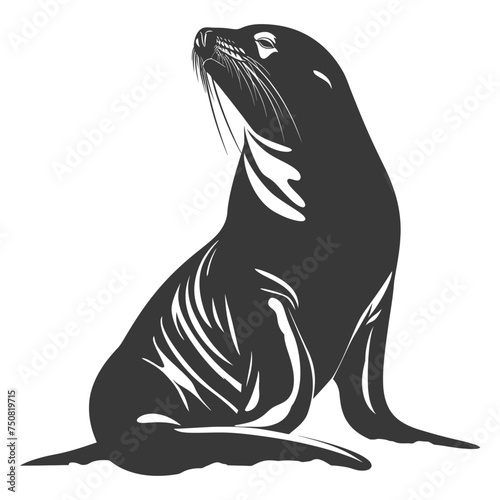 Silhouette Sea Lion Animal black color only full body