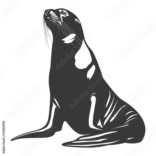 Silhouette Sea Lion Animal black color only full body