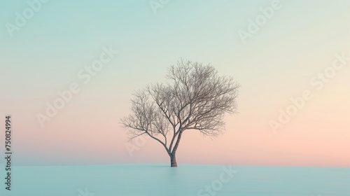 A clean and crisp HD capture of a solitary tree against a pastel sky, offering a minimalist and calming background mockup. © AD Graphics