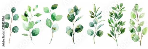 Green Leaf Floral Illustration Set for Elegant Wedding Stationary and Fashion Generative AI