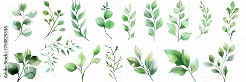Green Leaves and Branches Watercolor Illustration Generative AI