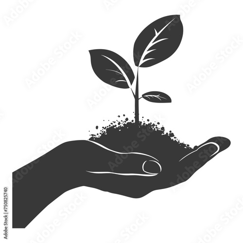 Silhouette Two Hand holding soil with growing sprout black color only