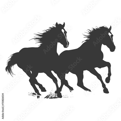 Silhouette two horses galloping