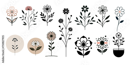 Set of flower floral pink rose spring summer nature blossom botanical plant garden watercolor vector collection illustration.wedding bouquet decoration pattern vintage graphic drawing design 