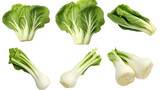 Bok Choy Collection: Fresh Asian Leafy Greens for Culinary Delights, Isolated on Transparent Background - Perfect for Farm-to-Table Concepts and Nutritious Recipes