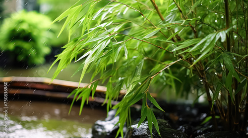 Early morning in a bamboo forest  serene and tranquil  with sunlight filtering through the tall bamboo stalks  creating a peaceful atmosphere.