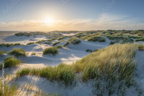 Dune beach at sunset
