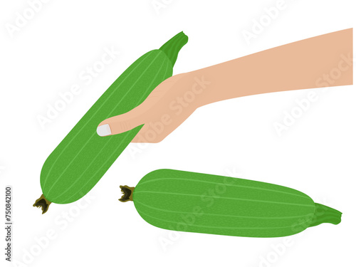 zucchini on a white background.