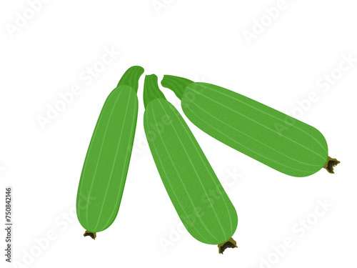 zucchini on a white background.