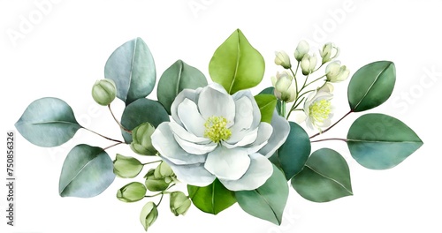 Watercolor eucalyptus flower arrangement. Greenery branches and jasmine flowers clipart set © Lumina