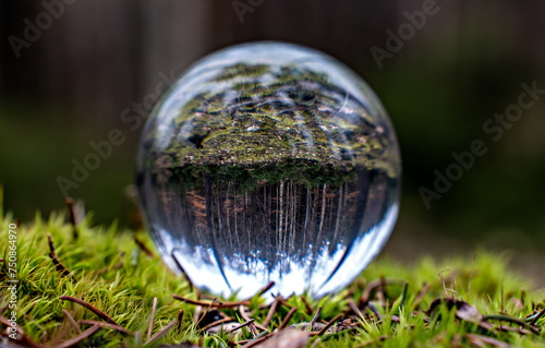 crystal ball on a tree stump.