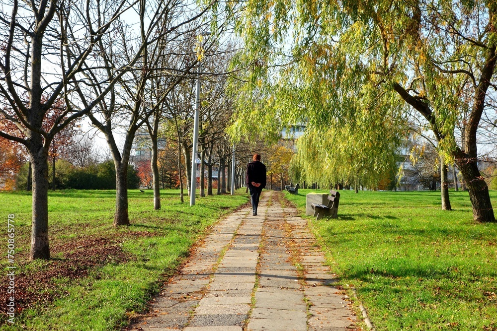 Park in Poland The name of Adolf Dygasinski , photo taken in autumn - view of a woman walking on the sidewalk