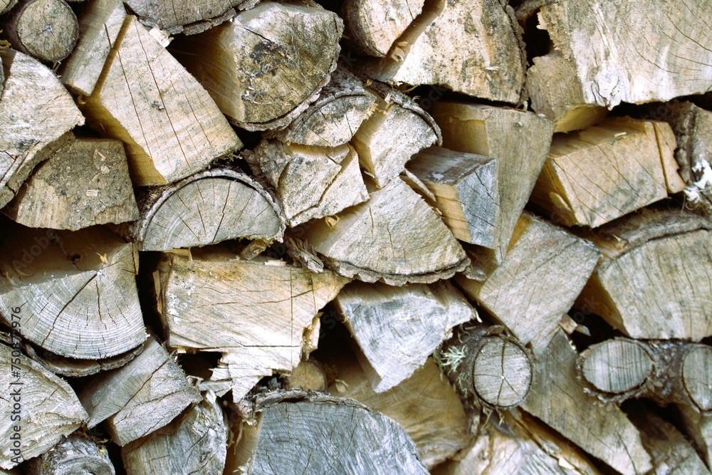 Fototapeta premium a beautifully stacked stack of dry split firewood
