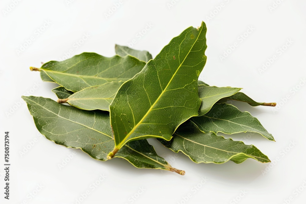 Bay Leaves on white background, macro. Bay Leaves on white background, macro.