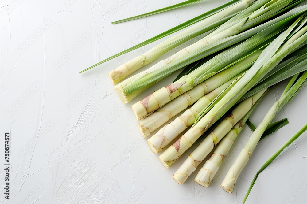 Fototapeta premium Lemongrass sage leafs on white background, macro.