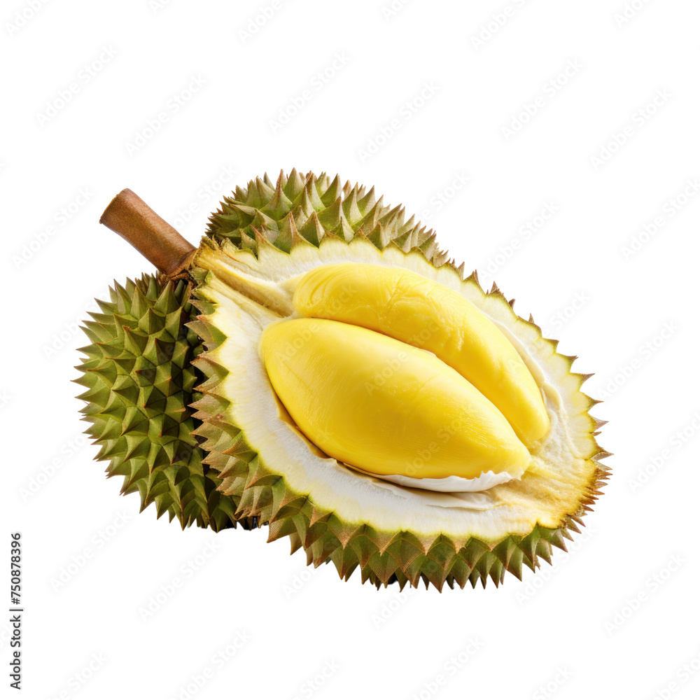 Fototapeta premium Durian Isolated on transparent background