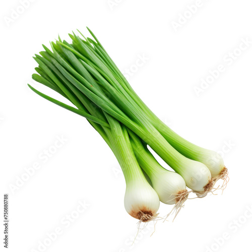 Green onion Isolated on transparent background