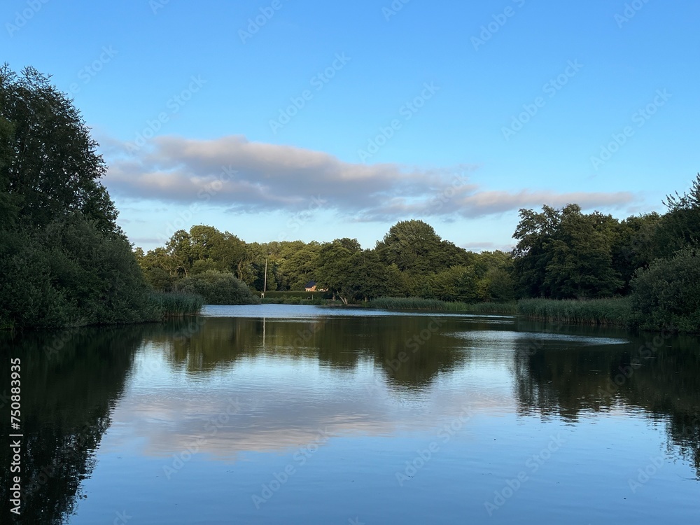 reflection of trees in the lake reflection of trees in the lake