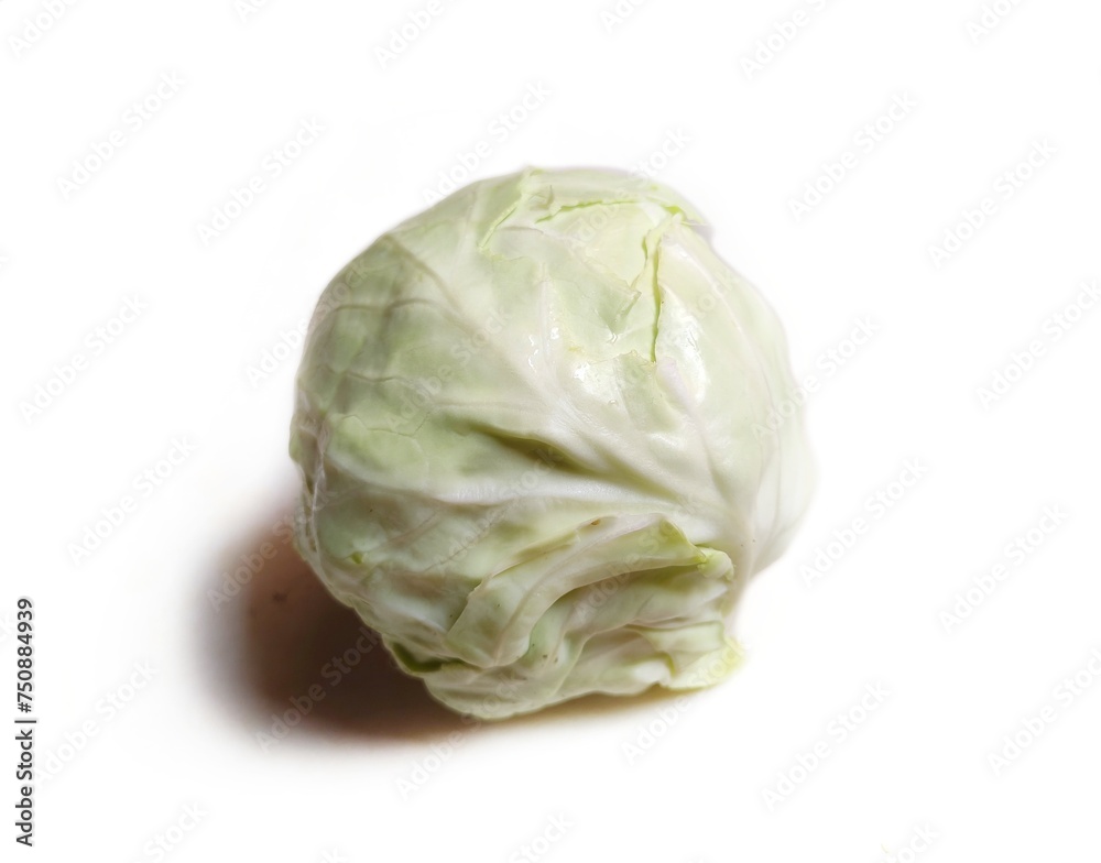cabbage isolated on white background cabbage isolated on white background