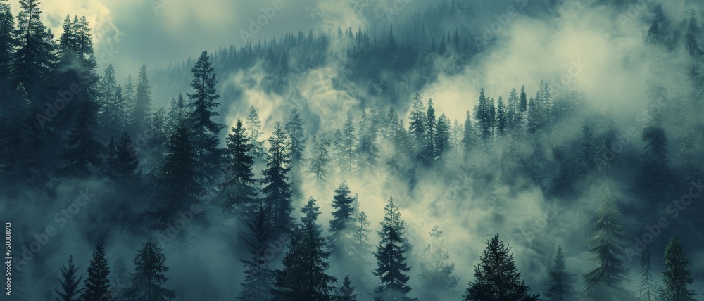 Misty pine forest, foggy, serene, wallpaper style, nature, tranquility, mystery, environment. - obrazy, fototapety, plakaty 
