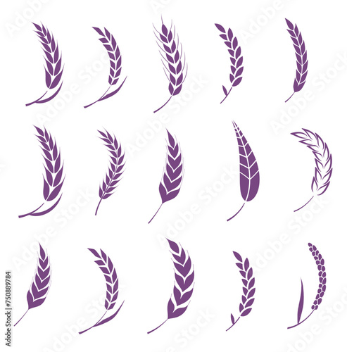 Set of silhouettes of ears of wheat