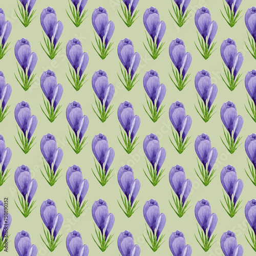 Watercolor spring crocuses seamless pattern  spring flower digital paper on green background. Hand painted floral illustration. For textile design  packaging  wrapping paper  wallpaper  scrapbooking.
