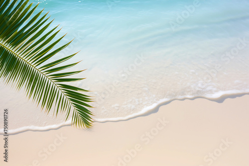 a palm tree leaf template on a light pastel beach, offering a calming nature-inspired background that complements the simplicity of the leaf's structure © EdNurg