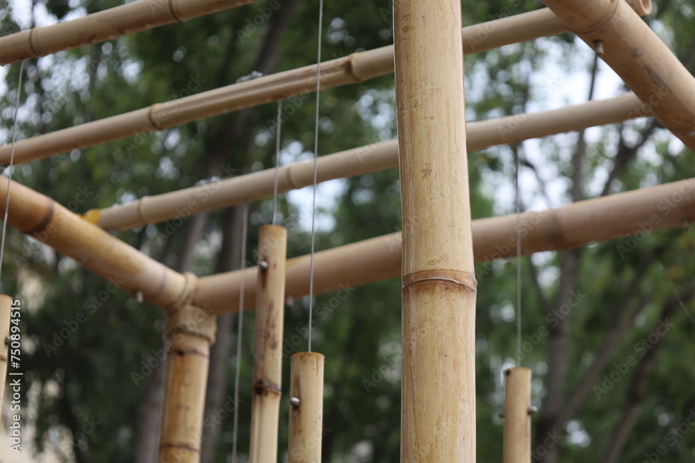 hanging wet bamboo sticks and water droplets hanging wet bamboo sticks and water droplets