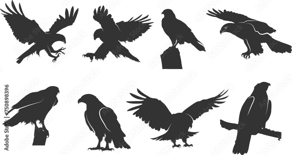 Hawk silhouettes, Flying hawk silhouette, Hawk svg, Tribal hawk silhouette, Hawk vector illustration