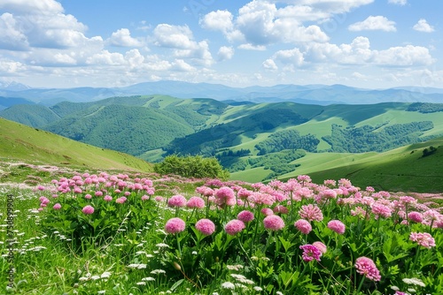 Breathtaking Panorama of Rolling Hills and Wildflowers