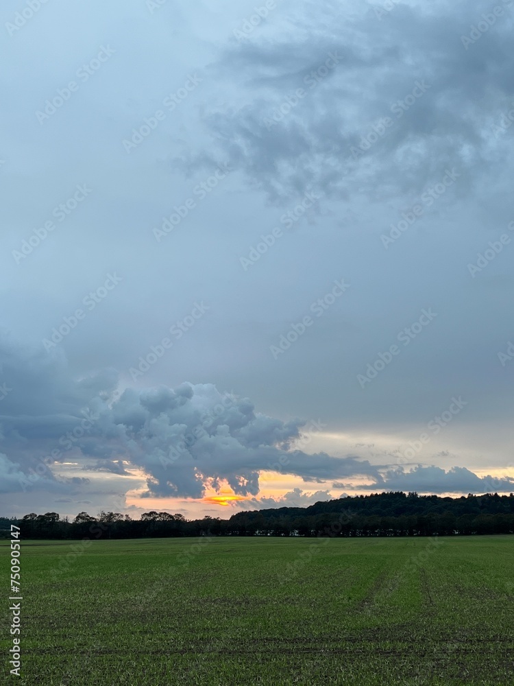 clouds over the field