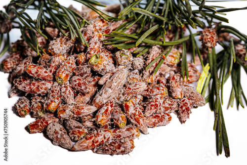 Pine buds healthy diet. A pile of pine buds