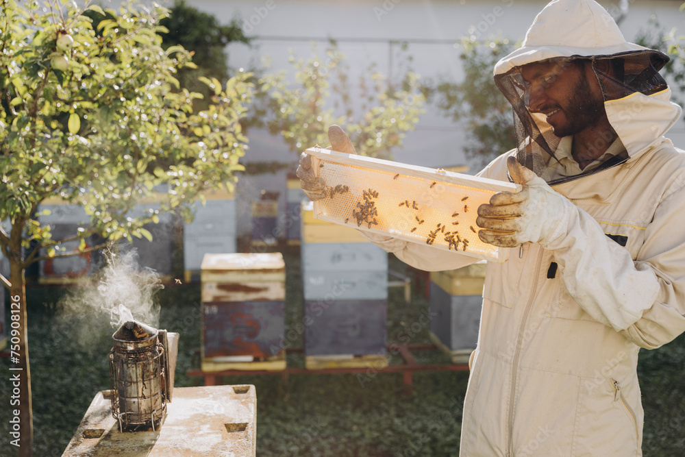 Bee keeper in a uniform standing in apiary and holding a honeybee frame Bee keeper in a uniform standing in apiary and holding a honeybee frame