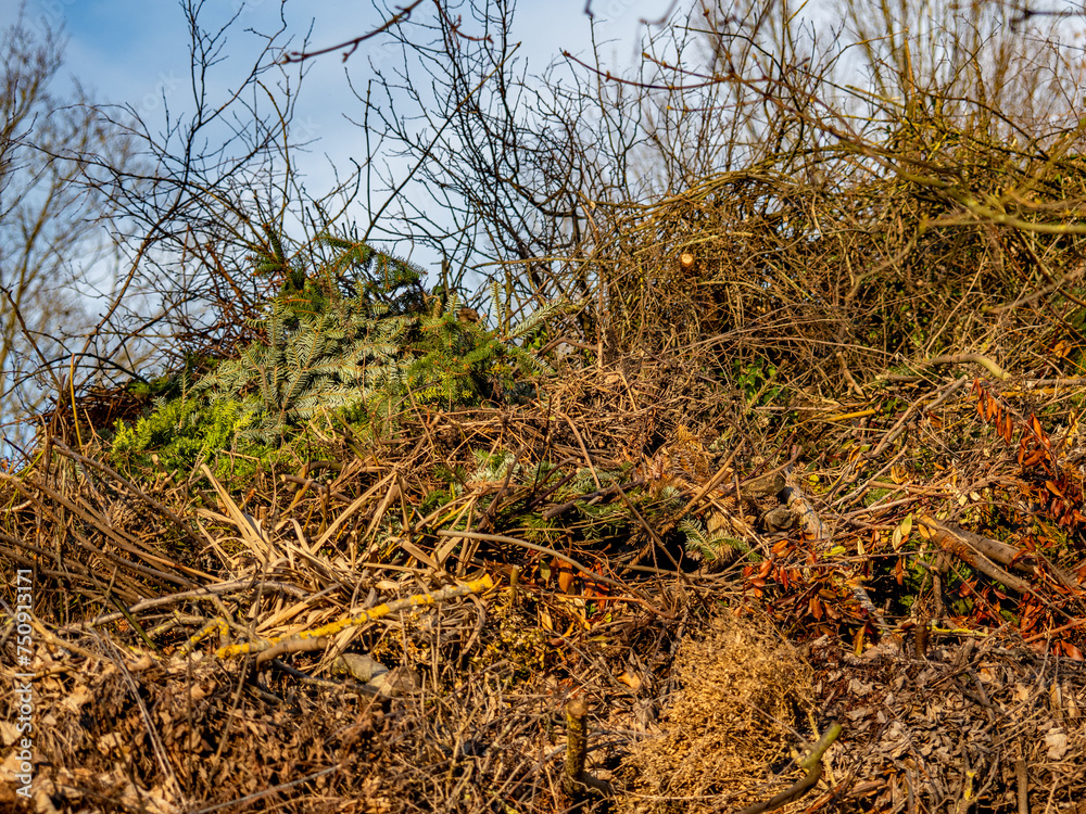 Obraz premium Deponie für Gartenabfälle und Recycling
