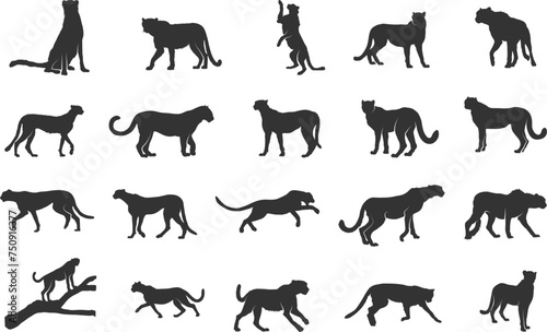 Cheetah silhouette, Cheetah running silhouettes, Cheetah svg, Cheetah vector illustration photo