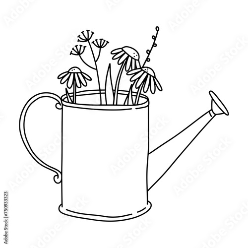 Naive Art. Vector line Naive illustration of watering can with daisies inside. Spring illustration for your printed products.