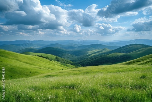 Green summer hills in the mountains