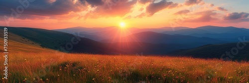 Sunset Over Flowering Mountain Meadow